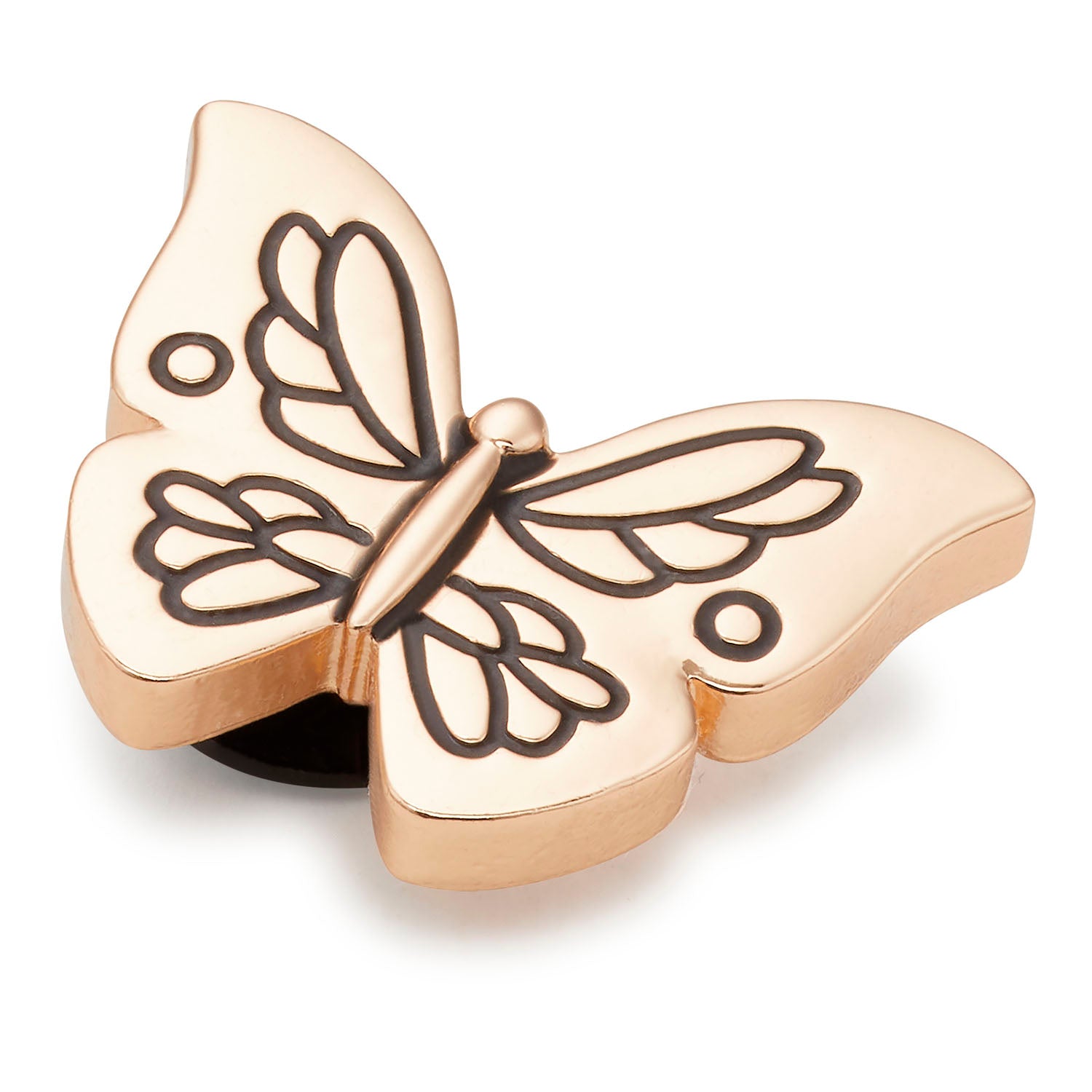 Butterfly best sale croc jibbitz